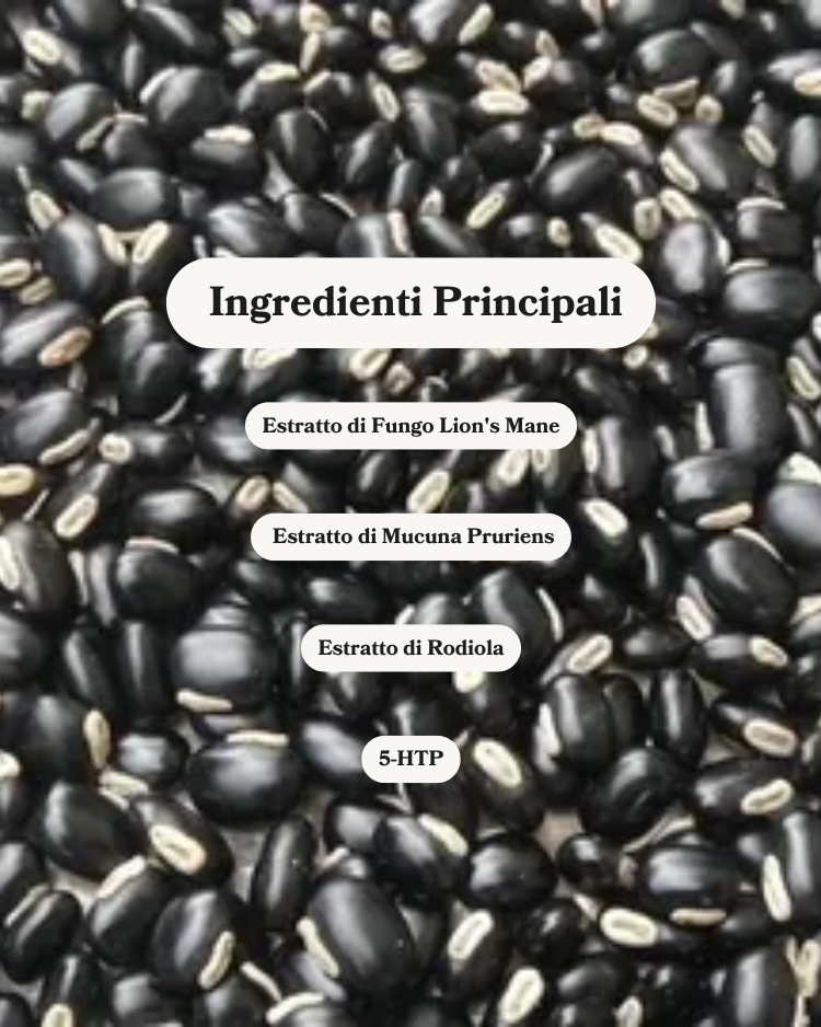 Cerotti Dopamina+| iPatch©