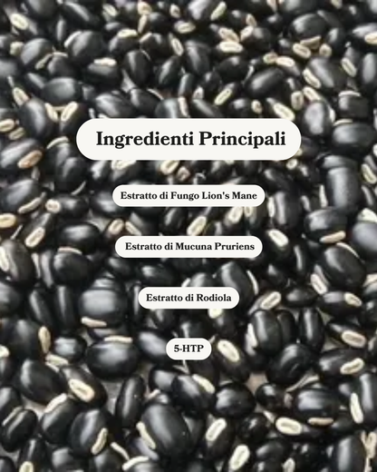 Cerotti Dopamina+| iPatch©