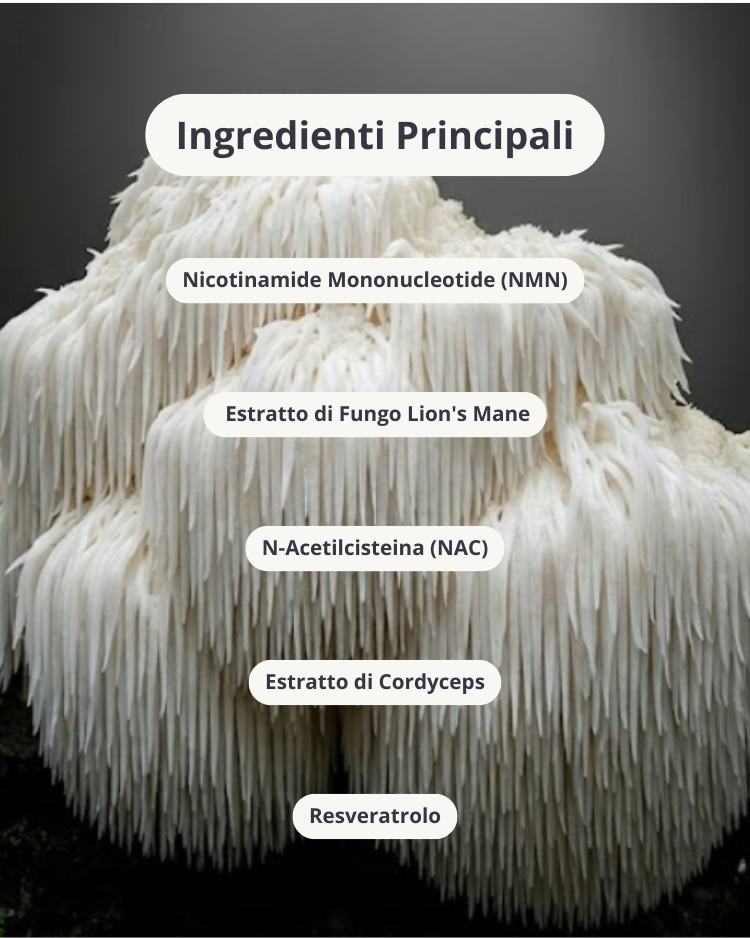 Cerotti Giovinezza NAD+ | iPatch©