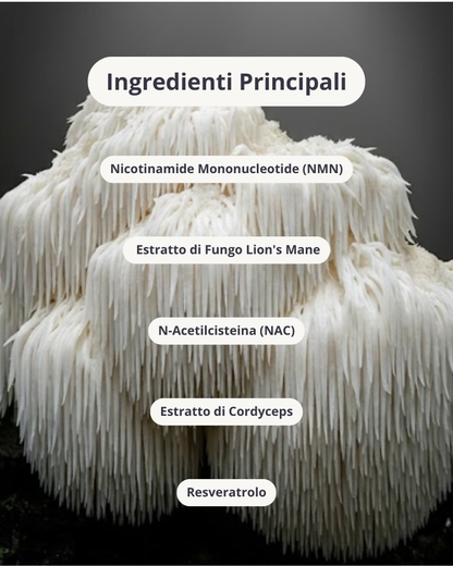 Cerotti Giovinezza NAD+ | iPatch©
