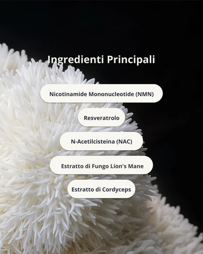 Cerotti NAD+ | PatchMe©